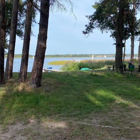 Apartament Wiewiorka Radzyń Eksteriør billede