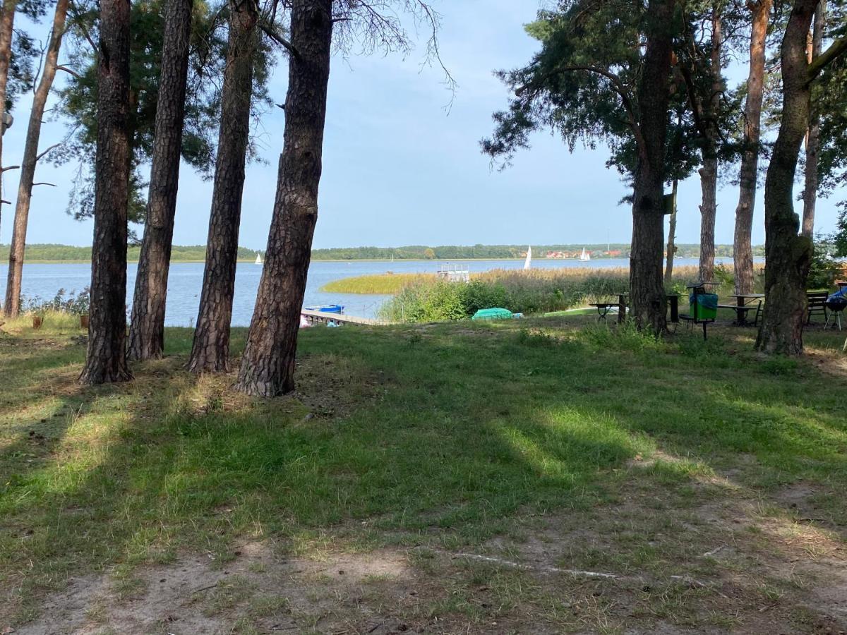 Apartament Wiewiorka Radzyń Eksteriør billede